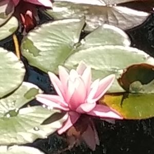 Meet your Posher, Kathleen